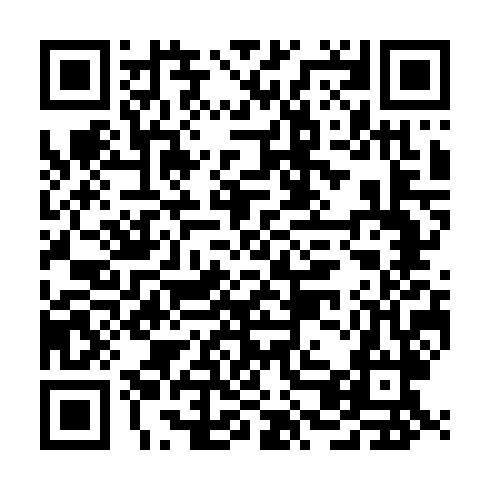 QR code for WMP 493