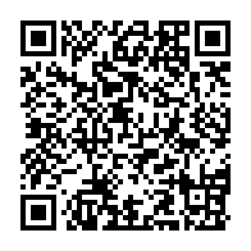 QR code for plate WMV 384