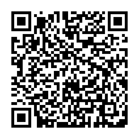 QR code for plate WPZ 953