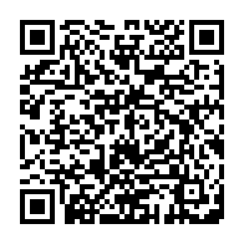 QR code for WSL 919