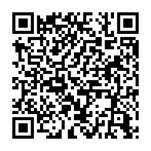 QR code for WSR 493