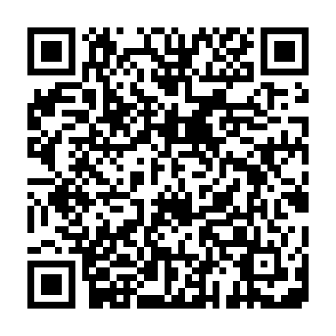 QR code for WSS 333