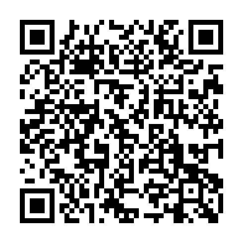 QR code for WSS133
