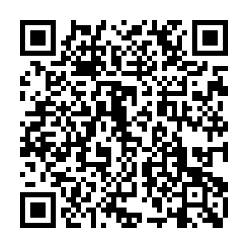 QR code for WWI 333