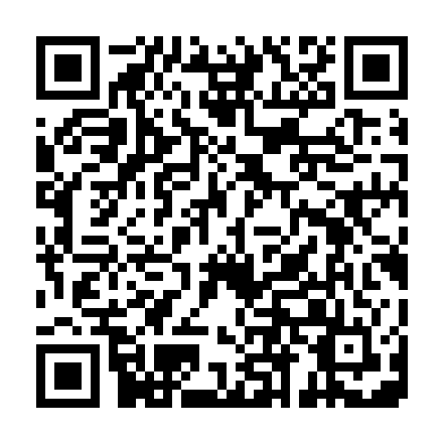 QR code for WYS 411