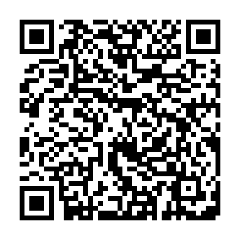 QR code for WZA 295