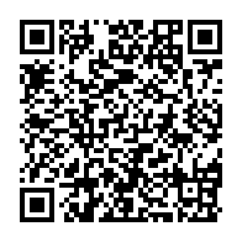 QR code for WZS 771
