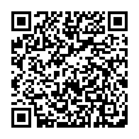 QR code for plate WZZ 971