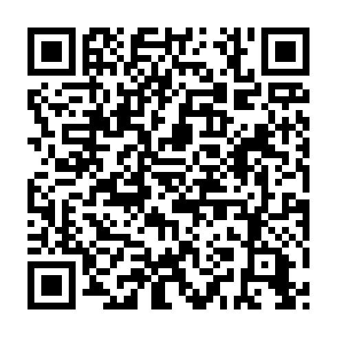QR code for plate XAE 028