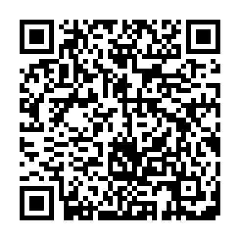 QR code for plate XDD 413