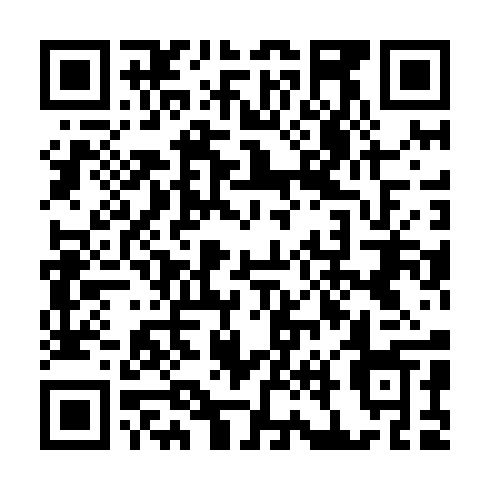 QR code for XDI 299