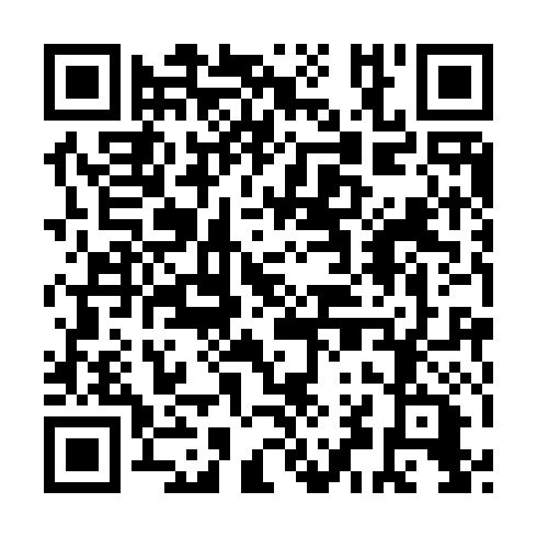 QR code for XDS 393
