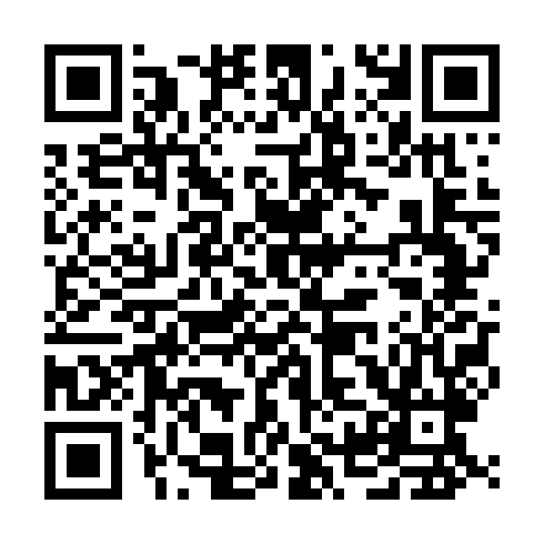 QR code for plate XFX 338