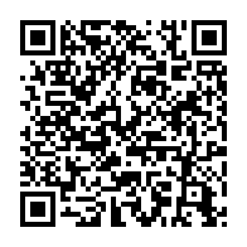 QR code for plate XGL 541