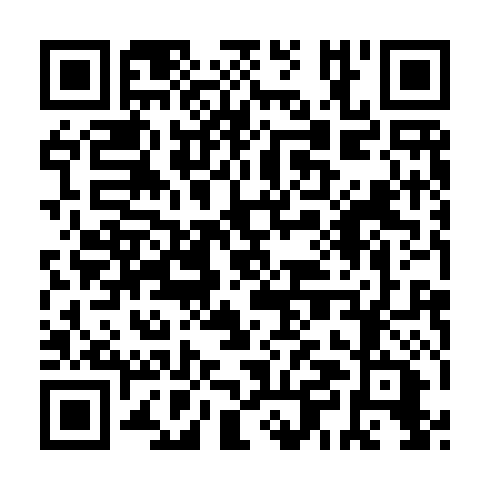 QR code for plate XPE 311