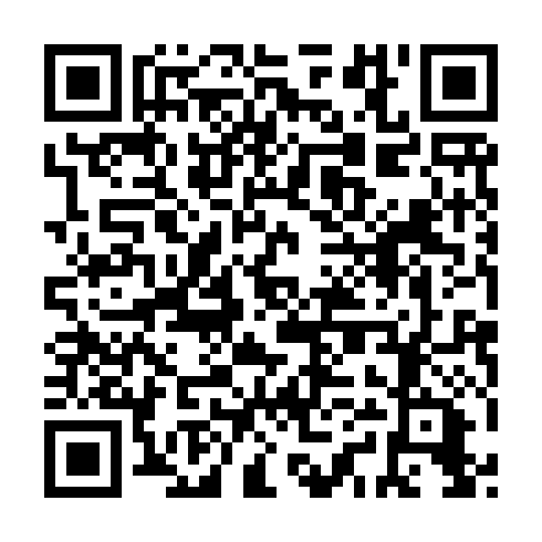 QR code for XQT 919