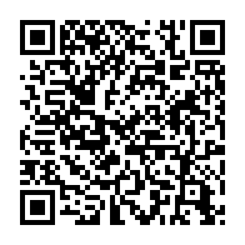 QR code for XSG 541