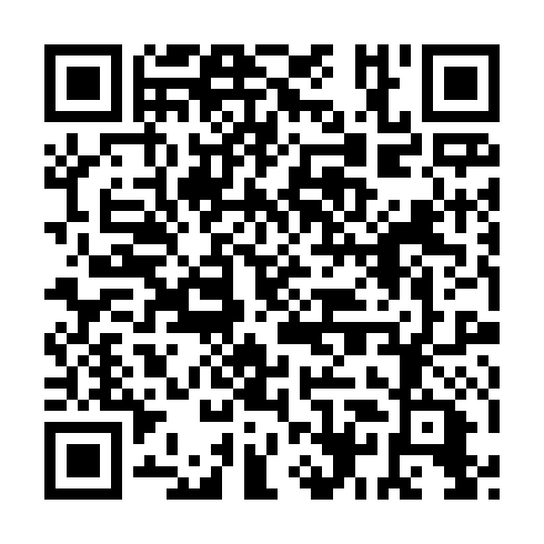 QR code for XSL 384