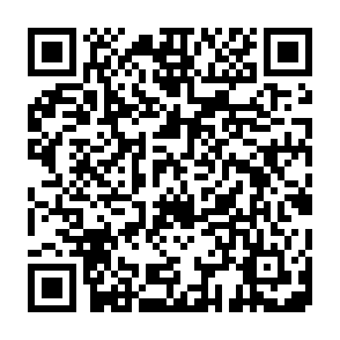 QR code for XVS 233