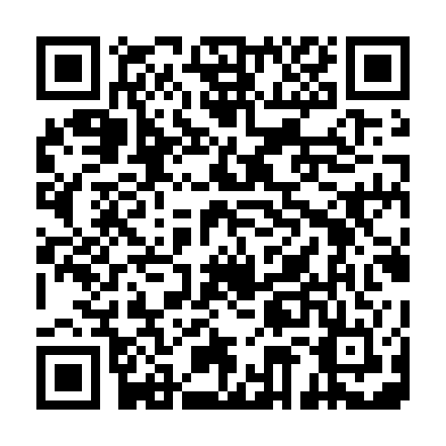 QR code for plate XYN 333