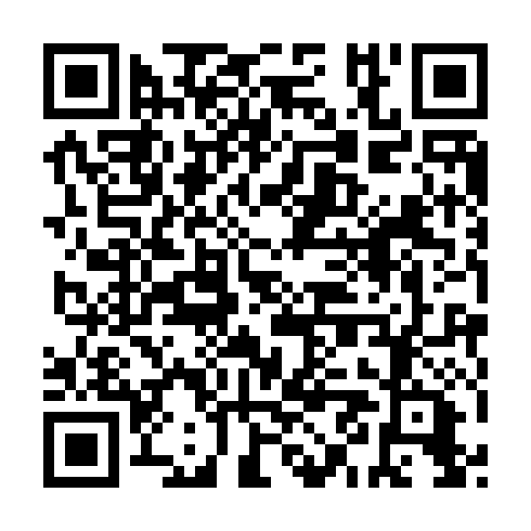 QR code for plate XZD 393