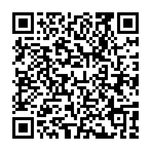 QR code for XZN 599