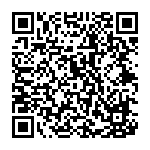 QR code for XZY 313