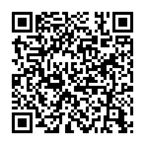 QR code for YAN 786