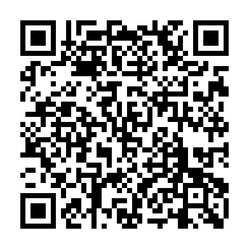QR code for YAP 383