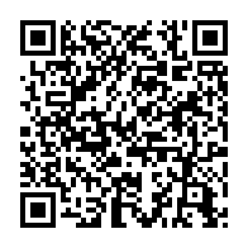 QR code for YBZ 041