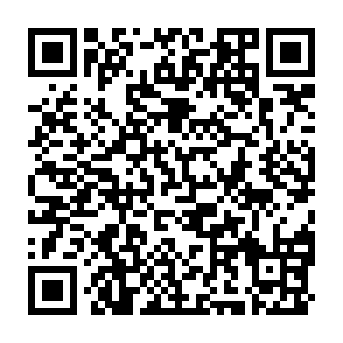 QR code for plate YCO 370