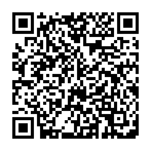 QR code for YIS 351