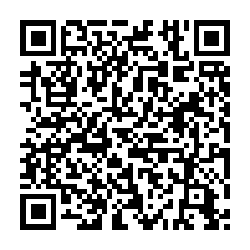QR code for YIZ 161