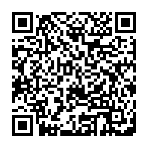 QR code for plate YLO 029