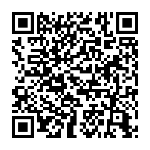 QR code for YMN 991