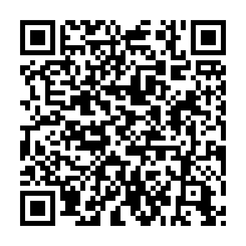 QR code for plate YNS 875