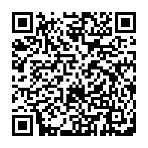 QR code for YPF 463