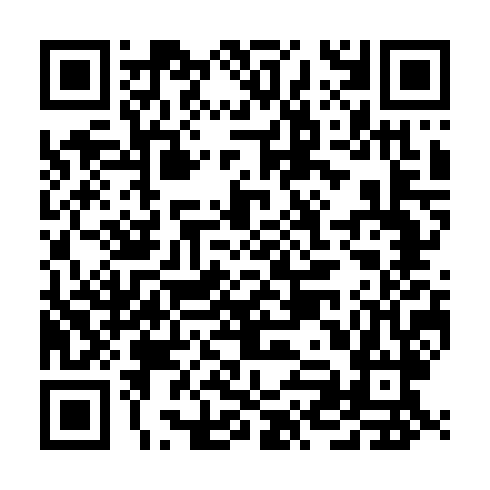 QR code for YUS 393