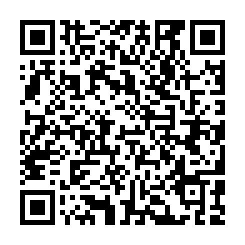 QR code for plate YYE 676