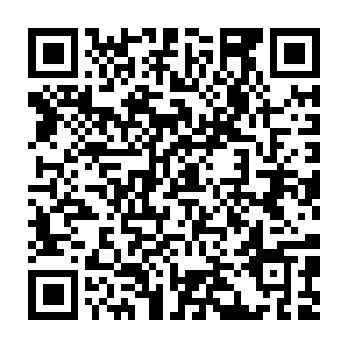QR code for plate YYS 295