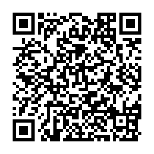 QR code for YYV370