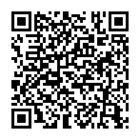 QR code for plate YZD 391