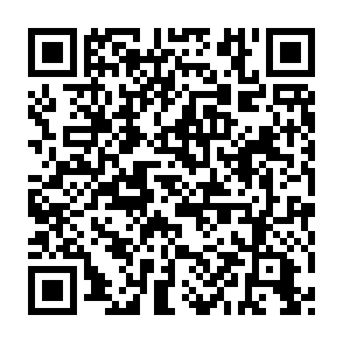 QR code for YZL 991