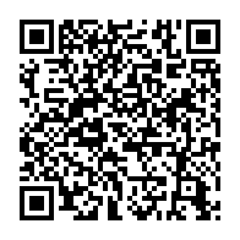 QR code for ZAN991