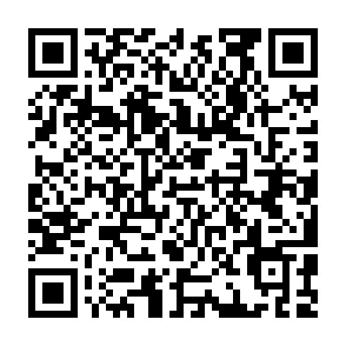 QR code for ZBG 868