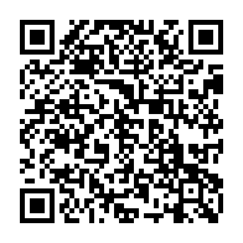 QR code for ZDI 049