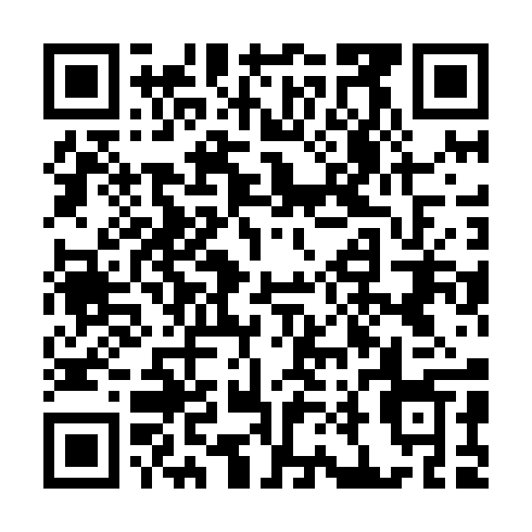 QR code for ZDL599