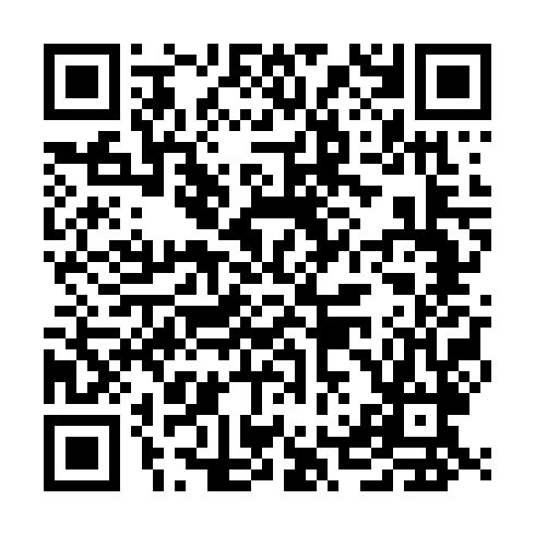QR code for ZDM 938