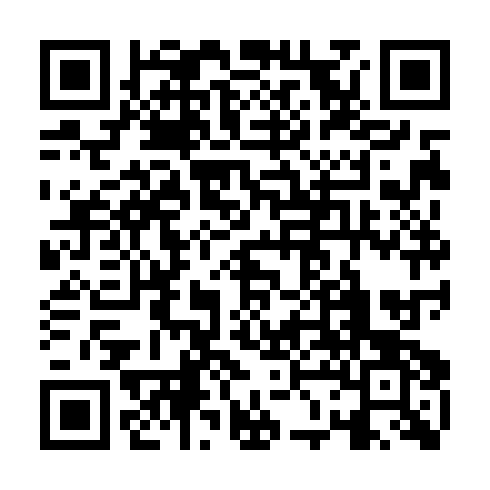 QR code for ZDN 203