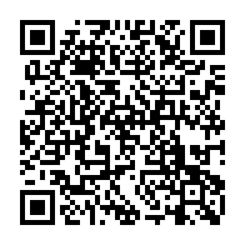 QR code for plate ZDN 595